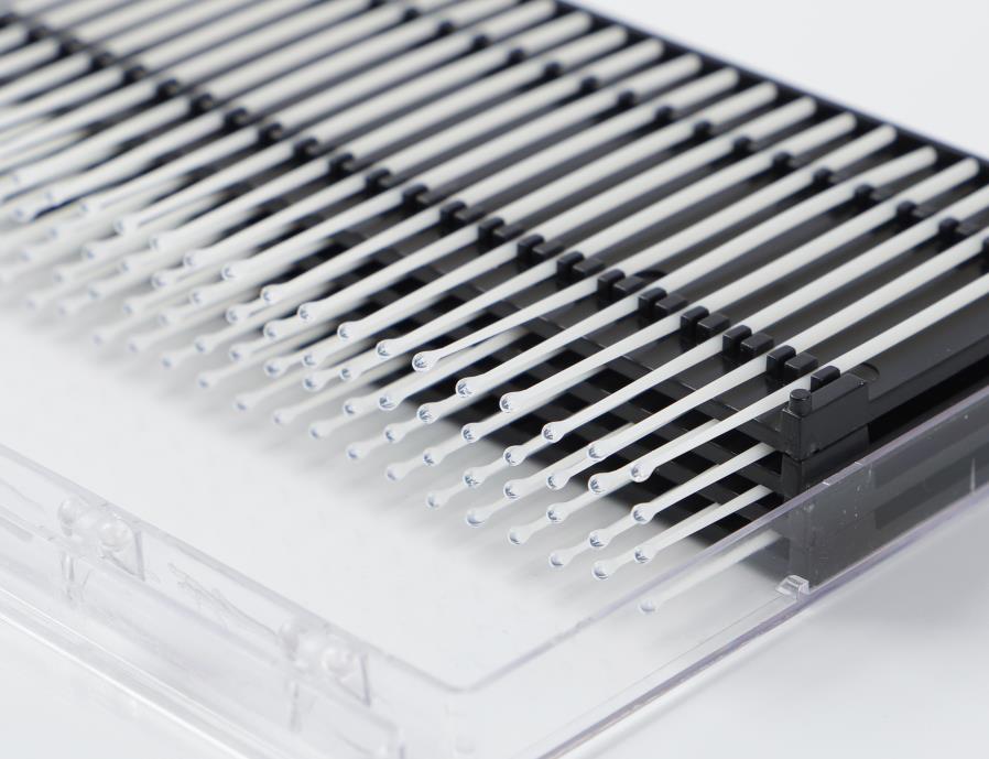 真人电子游戏平台app